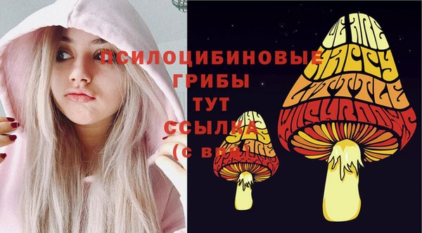 мескалин Новодвинск