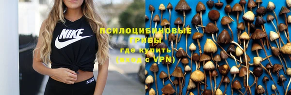 jwh Новозыбков