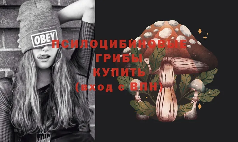 omg   Красноуральск  Галлюциногенные грибы MAGIC MUSHROOMS  купить наркоту 