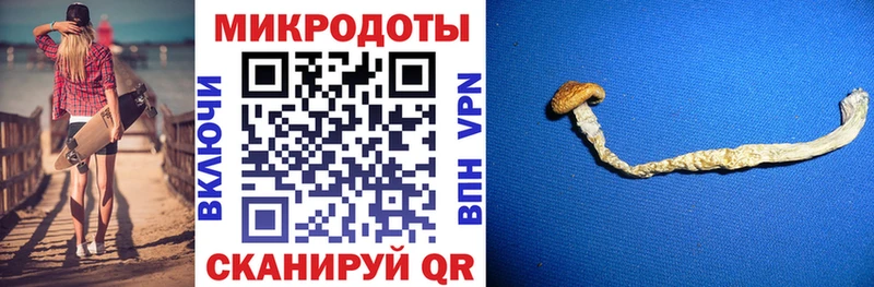 кракен зеркало  Красноуральск  Псилоцибиновые грибы Magic Shrooms  что такое  